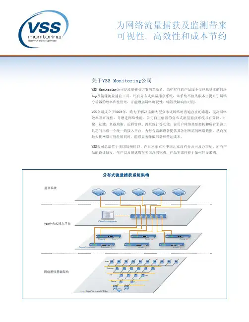 VSS公司及产品简介