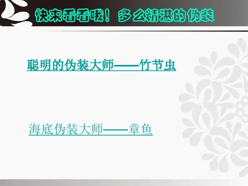 《同类色与邻近色》美术课件