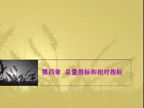 第四章总量指标和相对指标