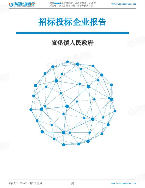 宣堡镇人民政府-招投标数据分析报告