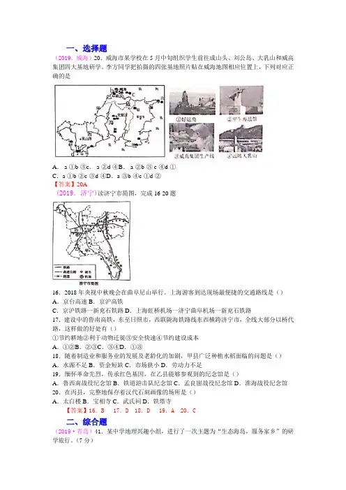 中考地理真题汇编：  山东地理(含答案)