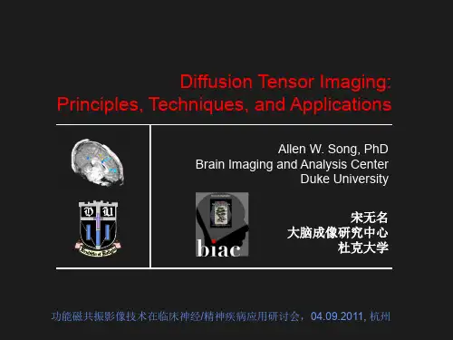 扩散张量成像DTI会议录