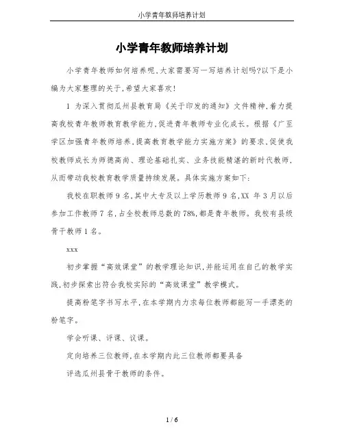小学青年教师培养计划