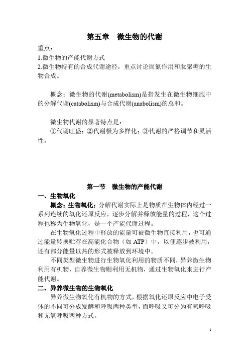 第五章  微生物的代谢
