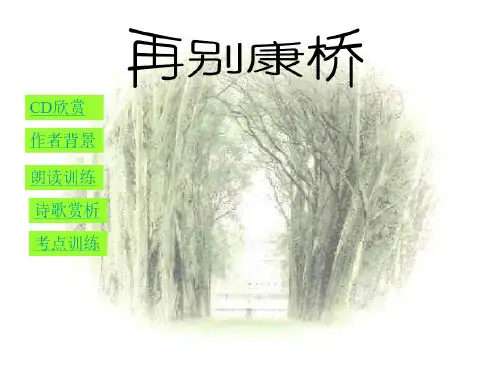 九年级语文再别康桥