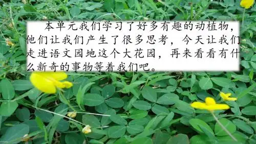 语文园地