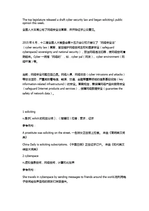 cyber security law 网络安全法