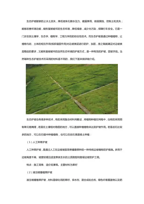 生态护坡技术
