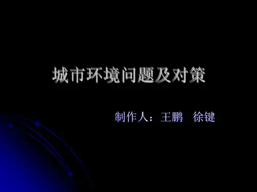 城市环境问题及对策