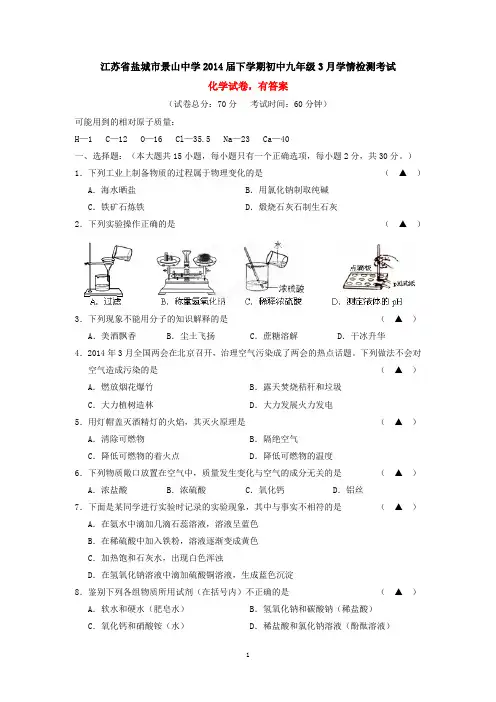 江苏省盐城市景山中学2014届下学期初中九年级3月学情检测考试化学试卷