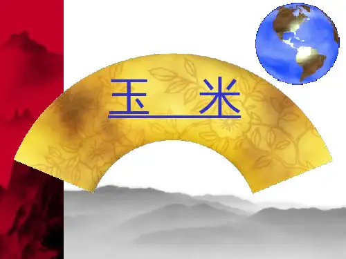玉米生长发育与生理特点(一)