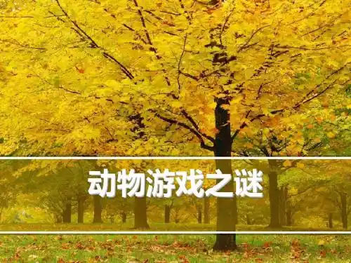 动物游戏世界