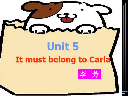 九年级英语ItmustbelongtoCarla课件14