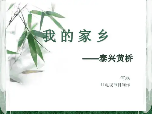 我的家乡--黄桥