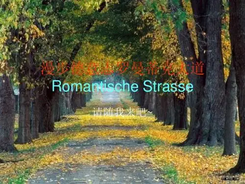 漫步德意志罗曼蒂克大道2