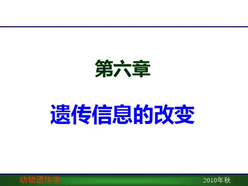 第6章_遗传信息的改变