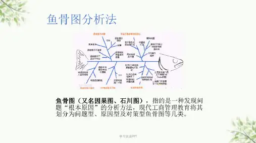 鱼骨图分析法(鱼骨图模板)课件