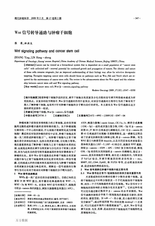 Wnt信号转导通路与肿瘤干细胞