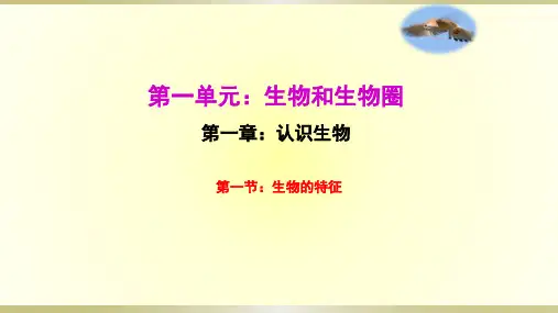 人教版七年级生物上册：第一单元 生物和生物圈 第一章 认识生物》第一节 生物的特征