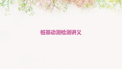 桩基动测检测讲义