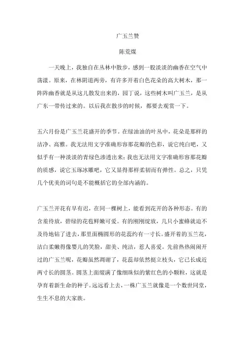 《广玉兰赞》  陈荒煤
