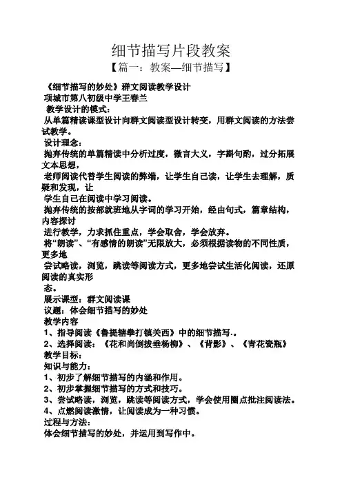 细节描写片段教案