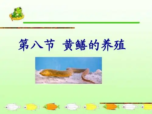 第四节   黄鳝的养殖