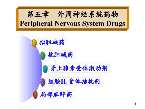 外周神经系统药物ppt课件