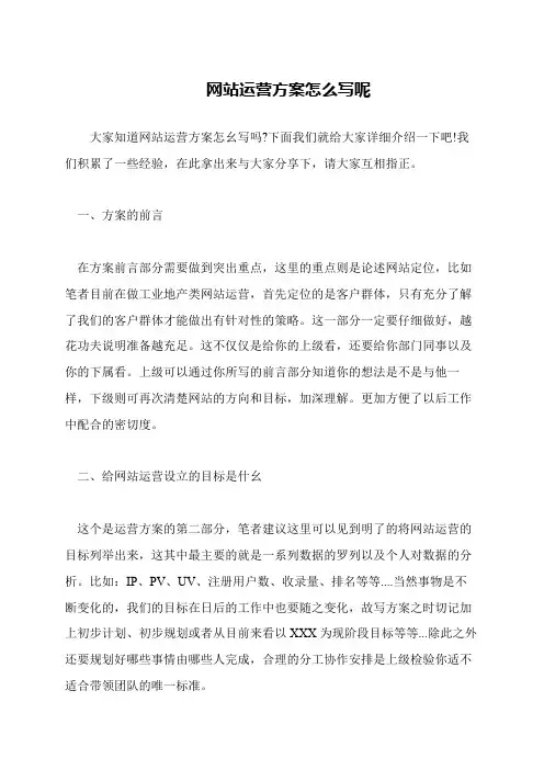 网站运营方案怎么写呢
