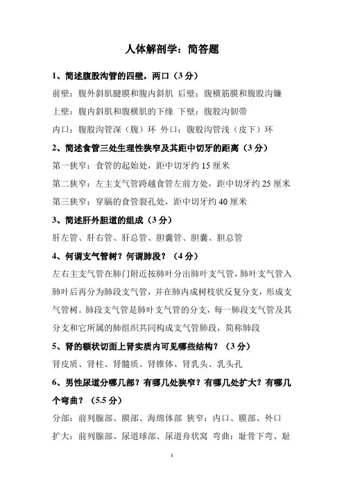 系统解剖学常见名词解释、简答[1]