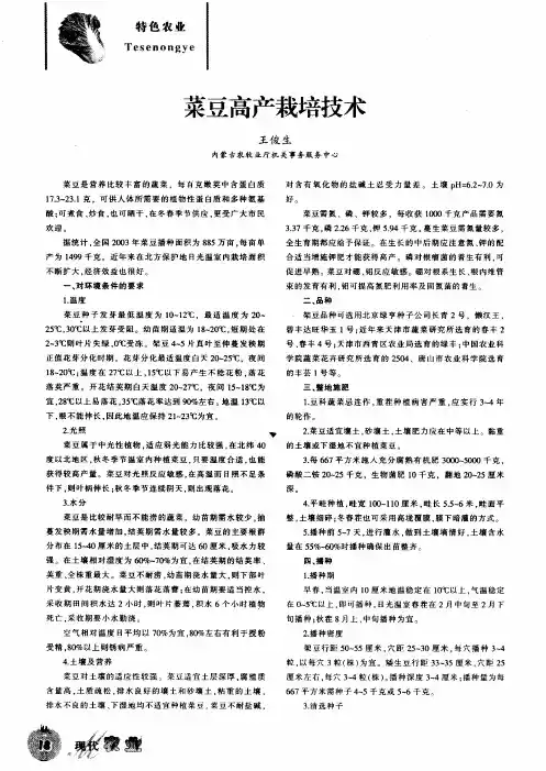 菜豆高产栽培技术