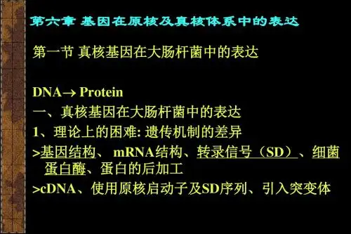 第六章基因在原核及真核体系中的表达