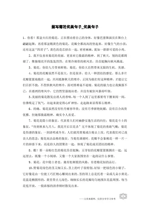 描写菊花优美句子-优美句子