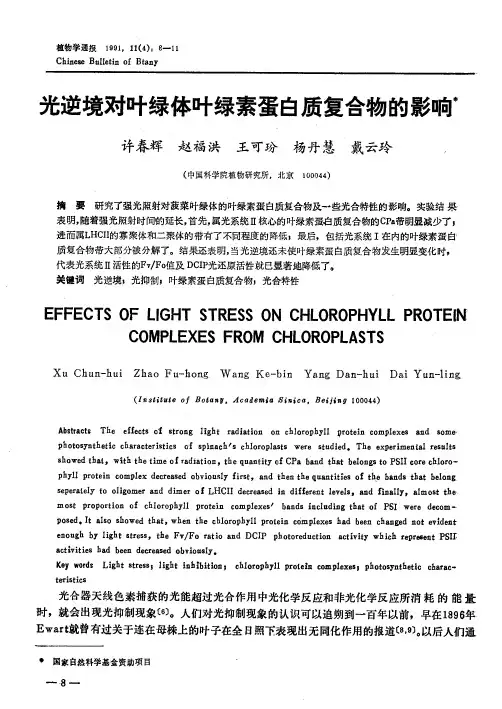 光逆境对叶绿体叶绿素蛋白质复合物的影响