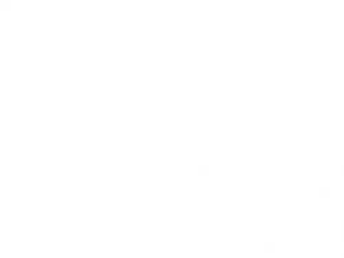 PPT的自动播放