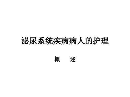 内科护理学泌尿系统概述