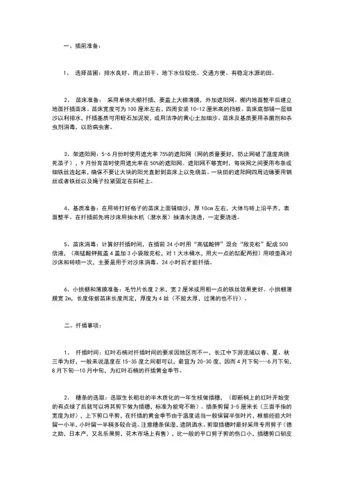 红叶石楠的扦插技术