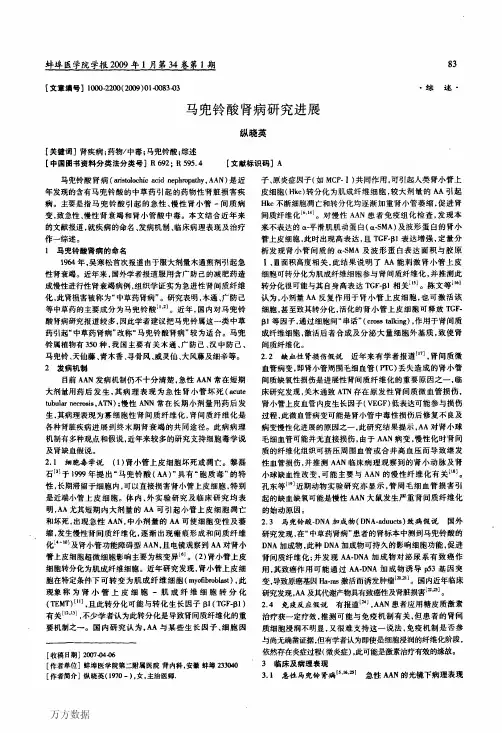 马兜铃酸肾病研究进展