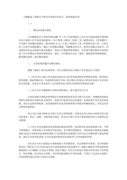 财务自查报告范文(精选)