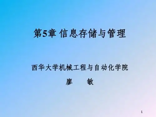 第5章 信息存储与管理
