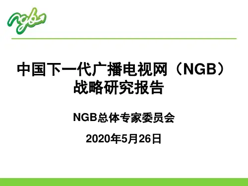 2010CCBN主题报告:邬江兴NGB战略研究报告