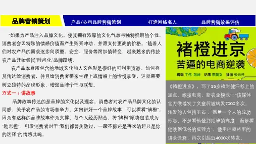 11品牌营销策划
