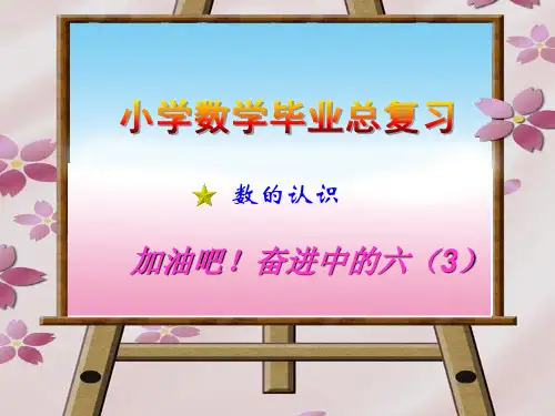 苏教版小学数学六年级下册总复习《数的认识》课件