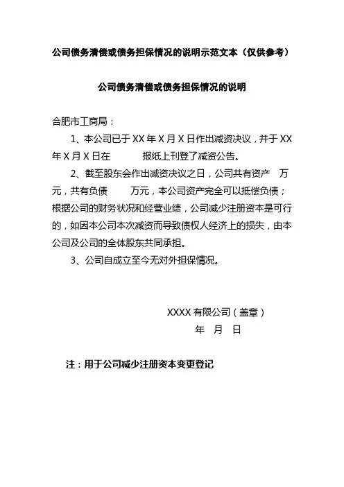 债务清偿或债务担保情况的说明