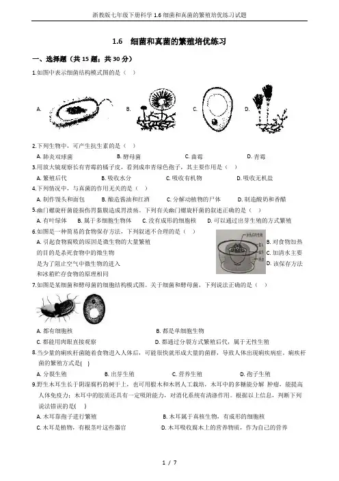 浙教版七年级下册科学1.6细菌和真菌的繁殖培优练习试题
