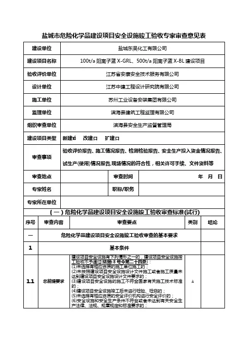 盐城市危险化学品建设项目安全设施竣工验收专家审查意见表