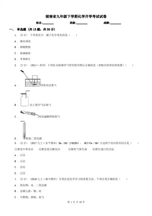 湖南省九年级下学期化学开学考试试卷