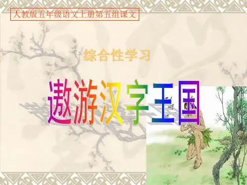 第五组《遨游汉字王国》