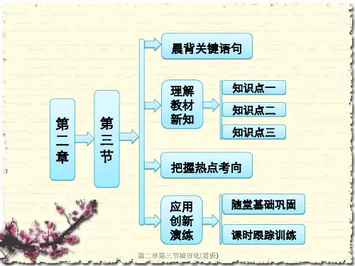 第二章第三节城市化(赏析)