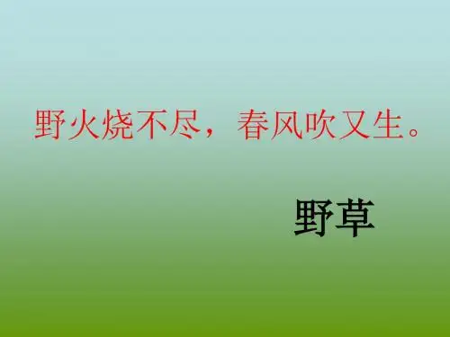 《野草》